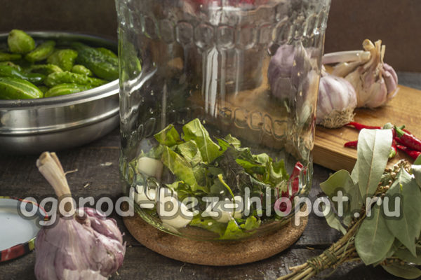 향신료를 항아리에 담다