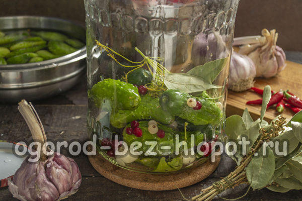 오이를 건포도와 함께 넣으세요