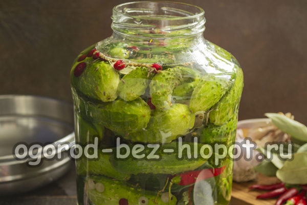 오이 위에 매리네이드를 붓는다