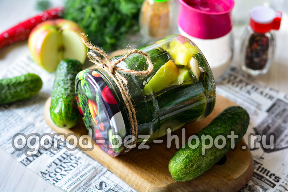 겨울을 위한 사과와 오이