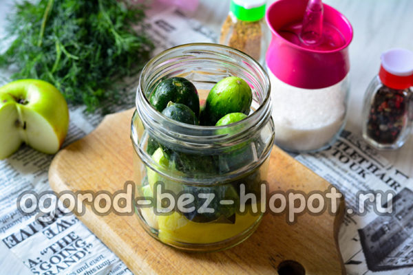 오이를 병에 담다