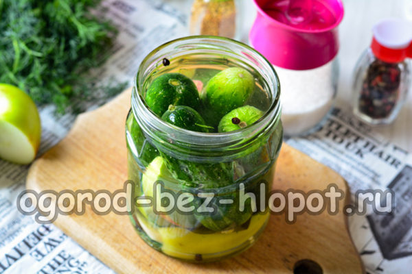 끓는 물을 붓다