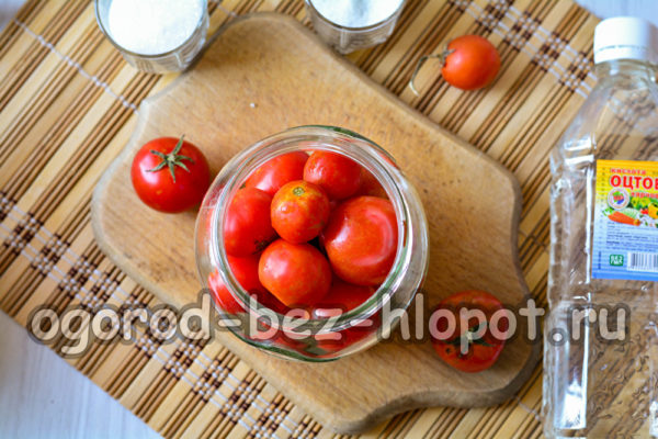 토마토를 병에 담다