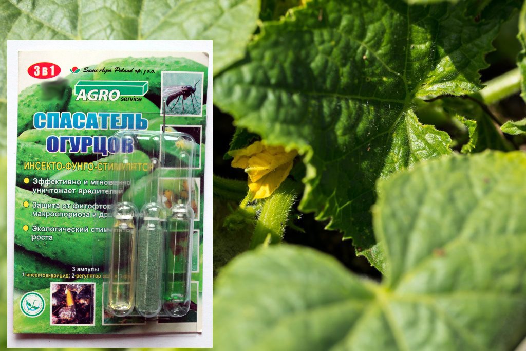 오이 구출기 3 in 1