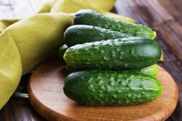 오이 품종 나타샤 f1