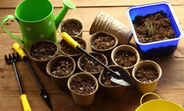 묘목용 화분