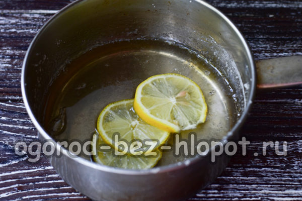 시럽에 레몬을 첨가하다