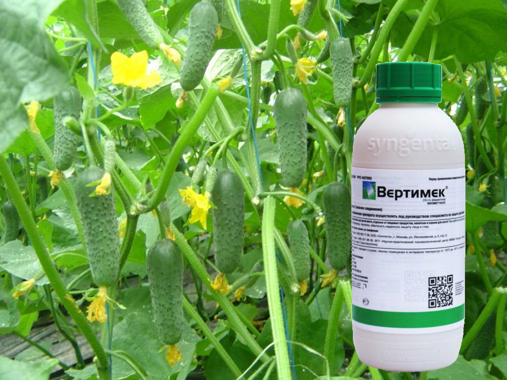 해충에 대한 Vertimek