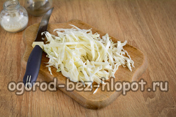 양배추를 잘게 썬다