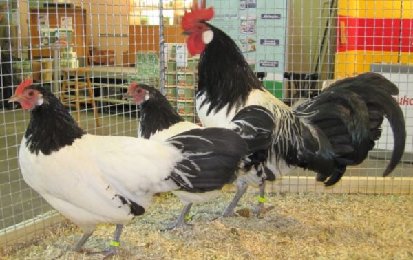 산책하기 좋은 곳