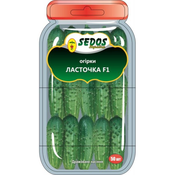 제조업체의 해바라기 씨앗