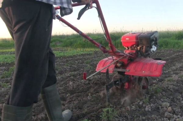 워크비하인드 트랙터로 풀기