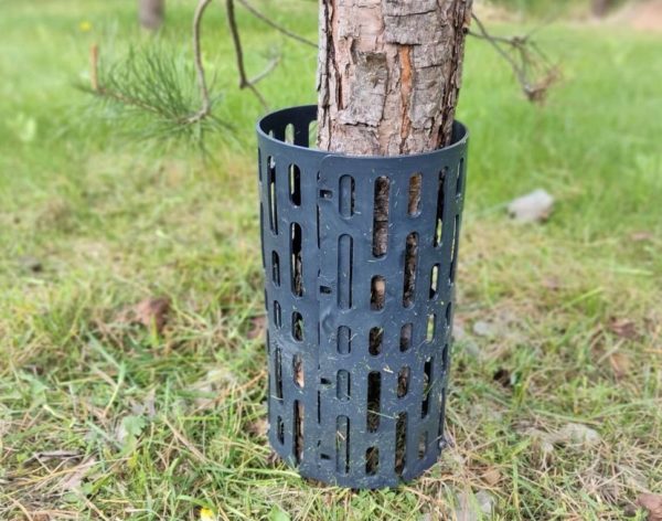 토끼로부터 묘목을 구하다