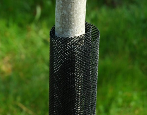 토끼로부터 묘목을 구하다