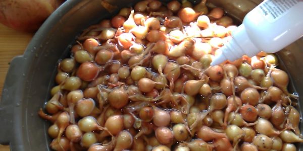 양파를 담가두는 가장 좋은 방법은 무엇입니까?