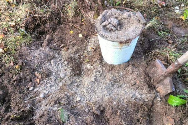 배용 유기 비료