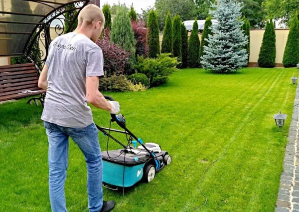 마지막 잔디 깎기