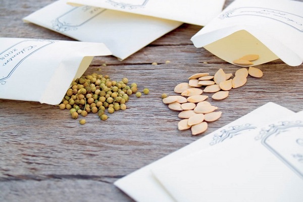 씨앗을 사거나 직접 준비하세요