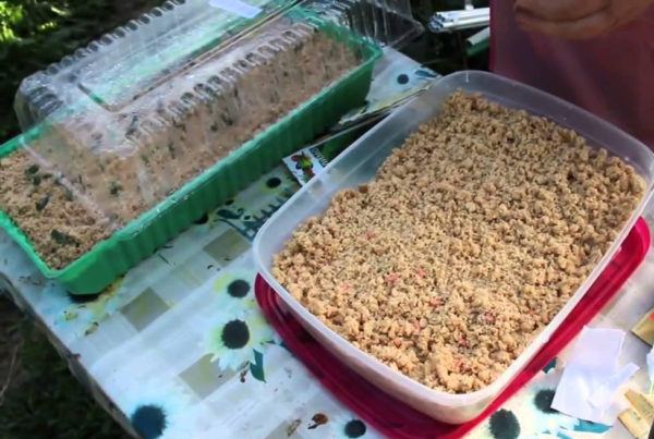 미틀라이더 방법