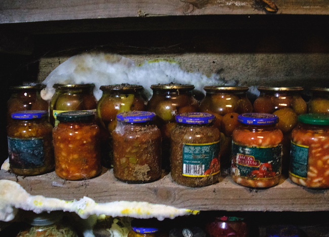 바닥에 곰팡이가 피었다