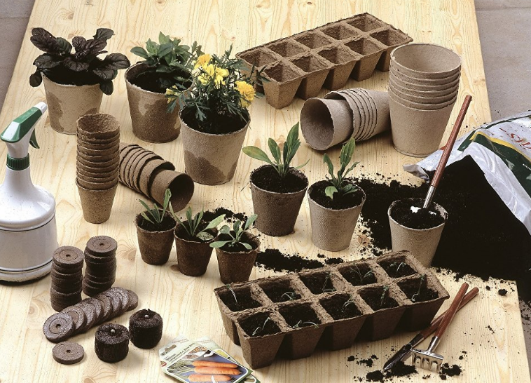 토양 또는 정제