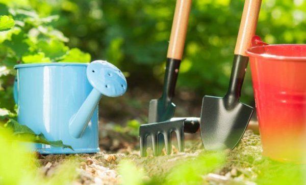 주걱과 물뿌리개