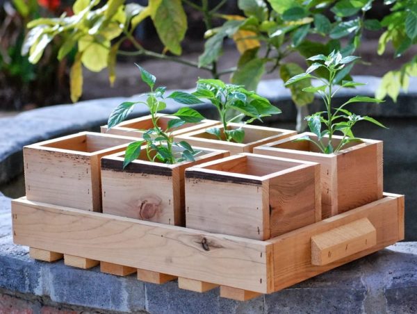 묘목 상자 처리