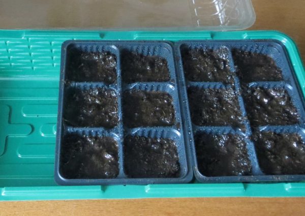 묘목 상자 처리