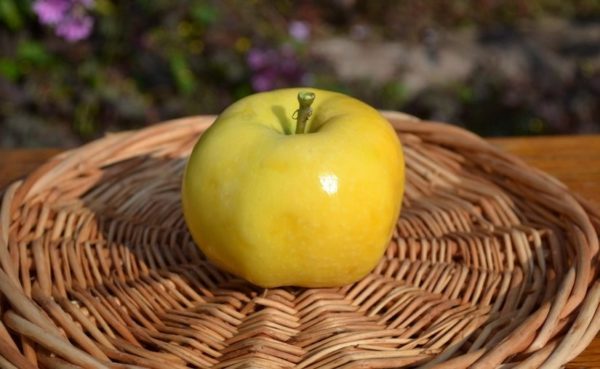 골든 안토노프카