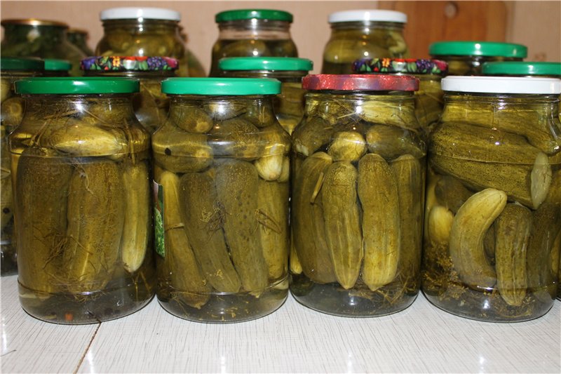 상점에서 구입한 오이