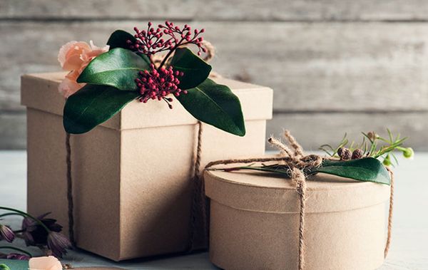 새해를 맞아 여름 거주자를 위한 최고의 선물