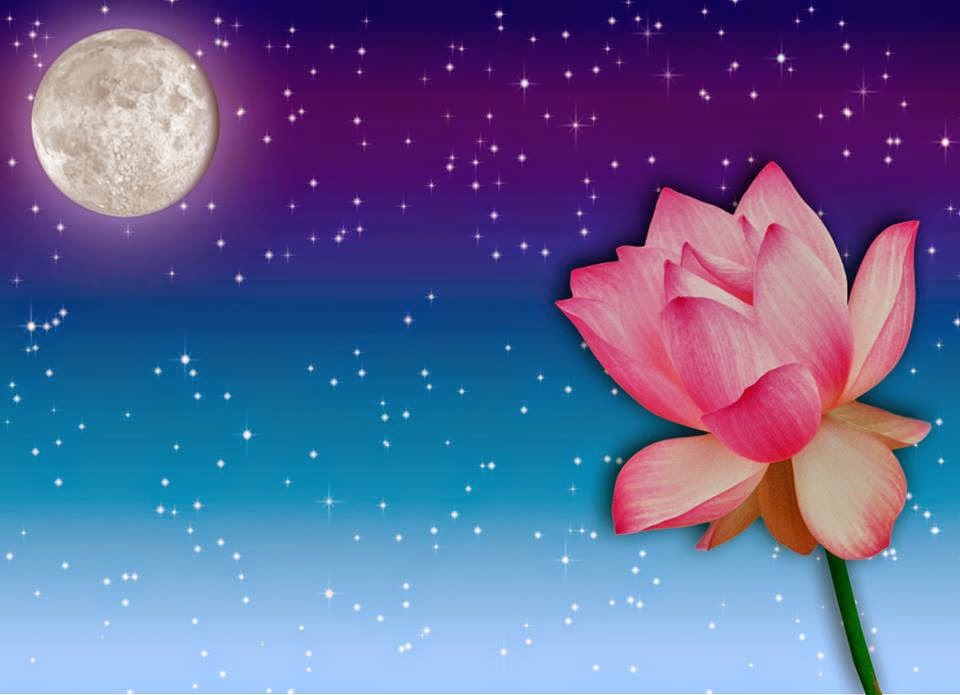 꽃에 미치는 달의 영향