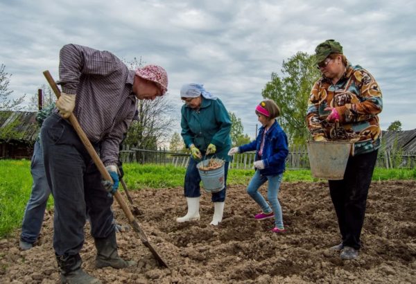 2020년부터 여름 거주자를 위한 정원세