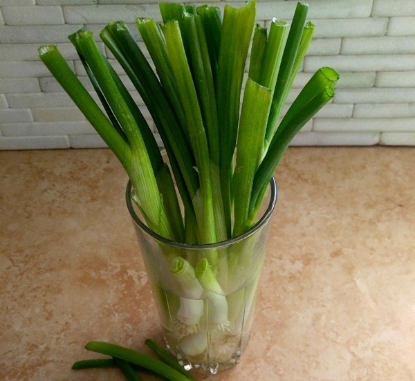 남은 채소와 과일을 버리지 마세요