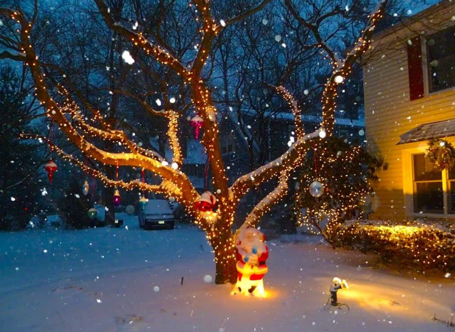 정원에서의 새해