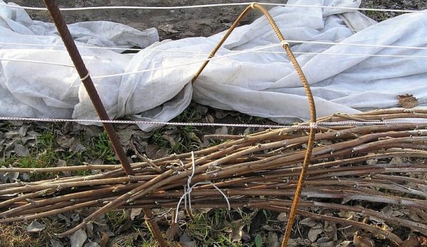 우리는 겨울 동안 그것을 덮는다