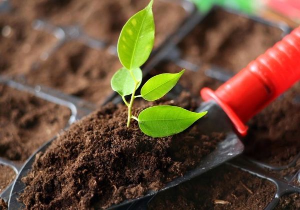 이온토포닉스란 무엇인가?