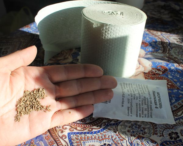 당근 파종대를 미리 준비하세요