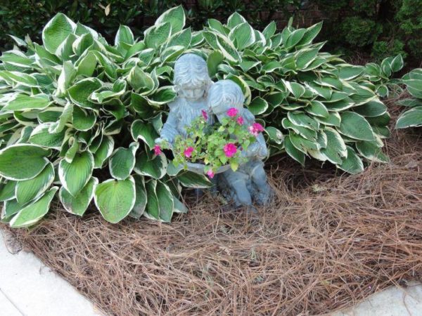 사이트의 호스타