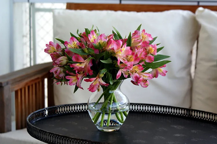 알스트로에메리아