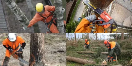 봄에 나무 가지치기