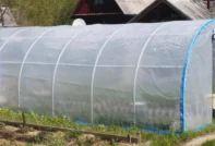 온실용 강화 필름